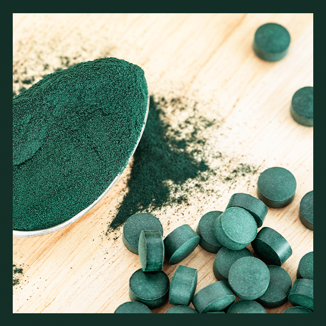 Spiruline bio 